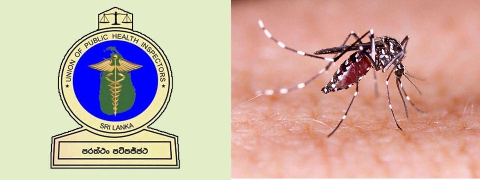 PHIs Warn of Increased Risk of Dengue